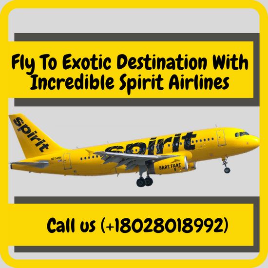 Fly To Exotic Destination With Incredible Spirit Airlines
